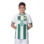 Fradi mez felső Nike Home gyerek 2023-24 Zöld -Fehér