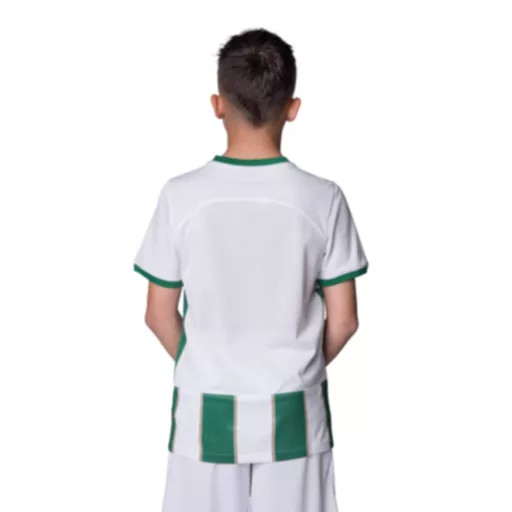 Fradi mez felső Nike Home gyerek 2023-24 Zöld -Fehér