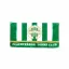 Fradi zászló kicsi címer és Ferencvárosi Torna Club