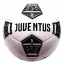 Juventus labda 5"