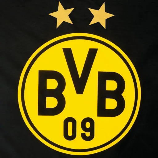 Dortmund párnahuzat 80x80 cm