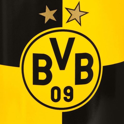 Dortmund bögre sárga fekete címeres