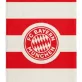 Bayern München törölköző PAMUT 50x100 cm