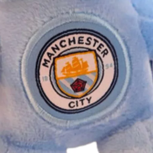 Manchester City plüss maci