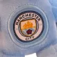 Manchester City plüss maci