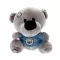 Manchester City plüssmaci Timmy bear