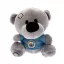 Manchester City plüssmaci Timmy bear