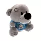 Manchester City plüssmaci Timmy bear