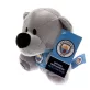 Manchester City plüssmaci Timmy bear