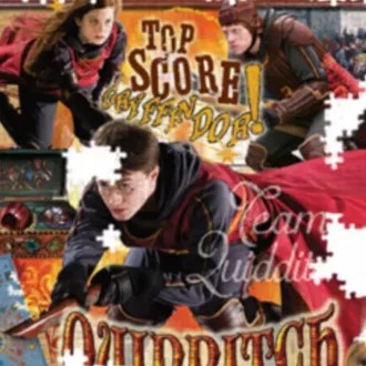 Harry Potter puzzle QUIDDITCH 1000 db