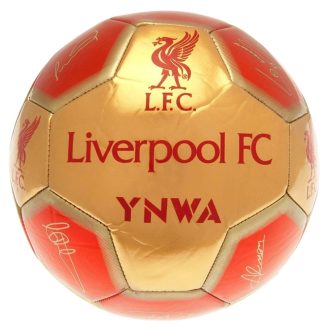Liverpool labda 5-ös arany