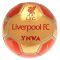Liverpool labda 5-ös arany