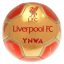 Liverpool labda 5-ös arany