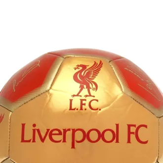 Liverpool labda 5-ös arany