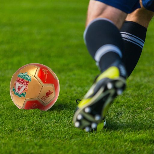 Liverpool labda 5-ös arany