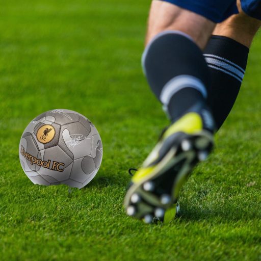 Liverpool labda 5-ös ezüst