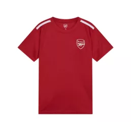 Arsenal mez felső gyerek szurkolói