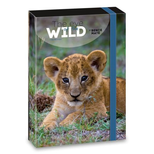 Ars Una Ars Una Máté Bence The Eyes Of The Wild - Lion A/4 Füzetbox
