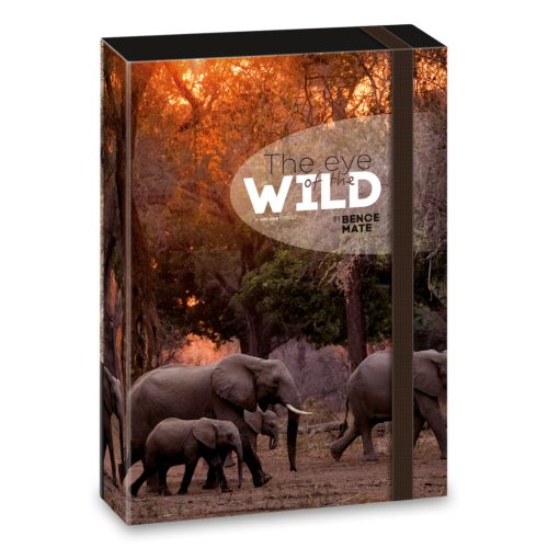 Ars Una Ars Una Máté Bence The Eyes Of The Wild - Elephant A/4 Füzetbox