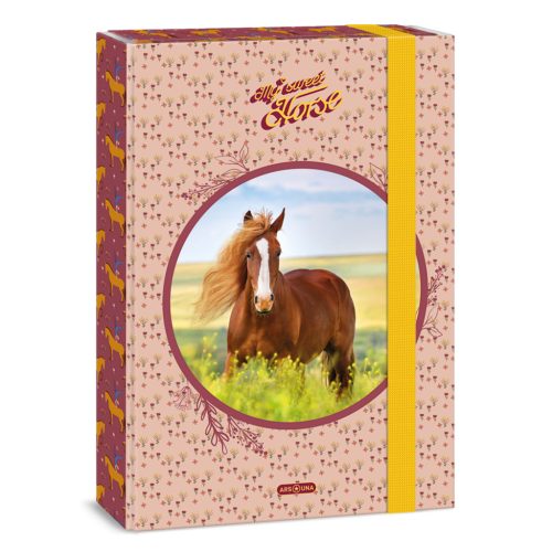 Ars Una Ars Una My Sweet Horse A/4 Füzetbox
