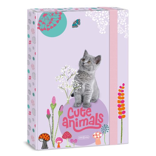 Ars Una Ars Una Cute Animals-Kitten A/4 Füzetbox