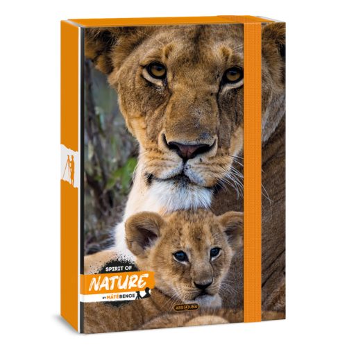 Ars Una Ars Una Máté Bence-Lion A/4 Füzetbox