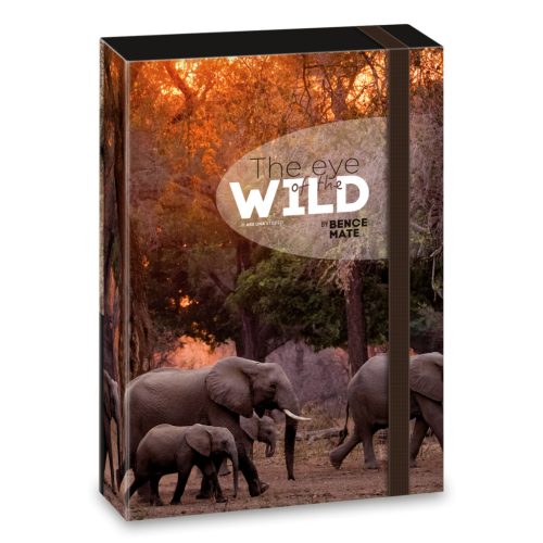 Ars Una Ars Una Máté Bence The Eyes Of The Wild A/5 Füzetbox