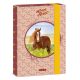 Ars Una Ars Una My Sweet Horse A/5 Füzetbox