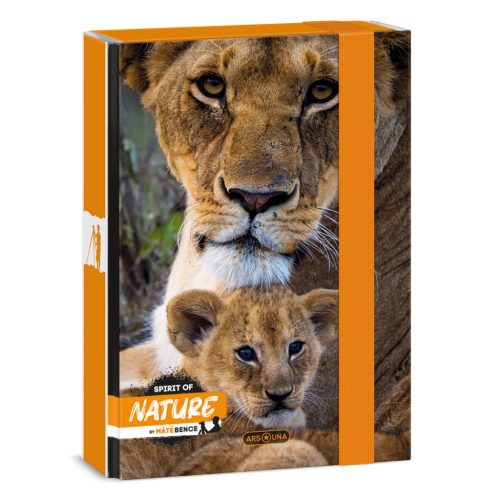 Ars Una Ars Una Máté Bence-Lion A/5 Füzetbox