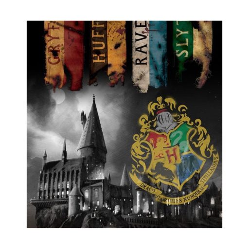 Harry Potter ágynemű 140 x 200 cm Roxfort