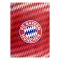 Bayern München pléd, takaró wellsoft 130*170 cm