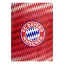 Bayern München pléd, takaró wellsoft 130*170 cm