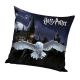 Harry Potter párna 40x40cm plüss Hedvig