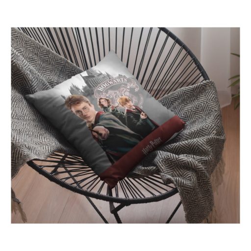 Harry Potter párna 40x40cm plüss