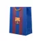 Barcelona ajándéktasak közepes csíkos 32×26×12 cm