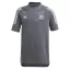 Adidas DFB TEE Y  GYEREK PÓLÓ
