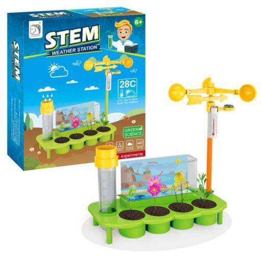 Növényfejlődés és meteorológia oktató játék gyerekeknek.