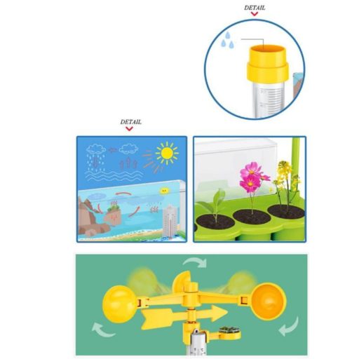 Növényfejlődés és meteorológia oktató játék gyerekeknek.