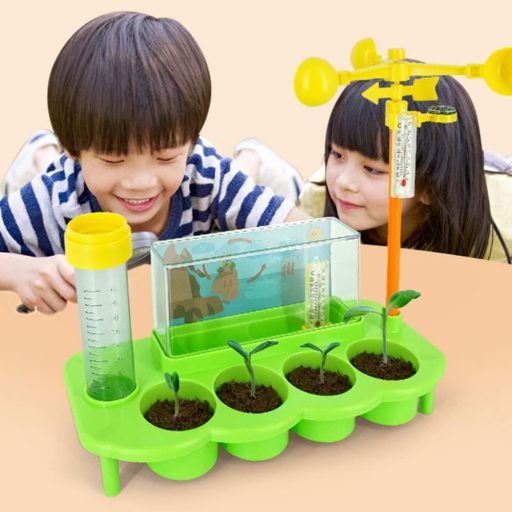 Növényfejlődés és meteorológia oktató játék gyerekeknek.