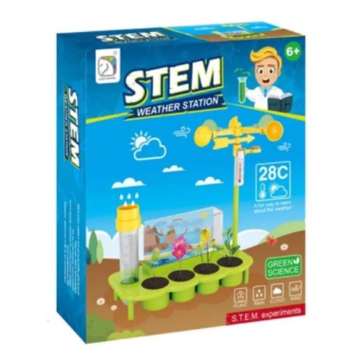 Növényfejlődés és meteorológia oktató játék gyerekeknek.