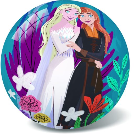 Labda, jogdíjas, Jégvarázs 2., 23 cm