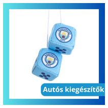 Autós kiegészítő